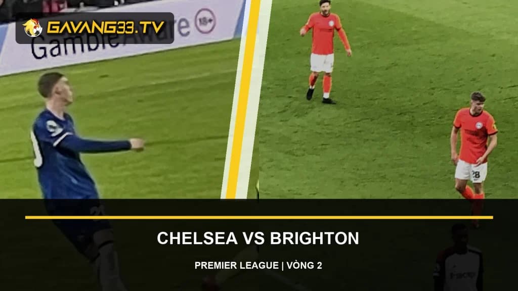 Ảnh tư liệu Chelsea và Brighton & Hove Albion trước trận Premier League