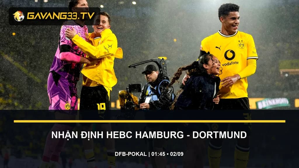 nhận định HEBC Hamburg vs Borussia Dortmund - ảnh đội bóng