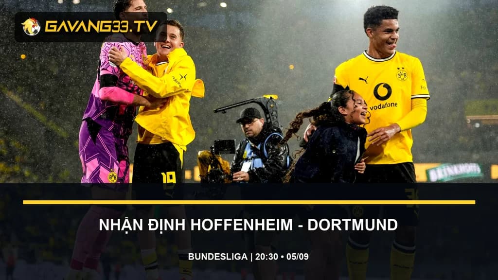 nhận định Hoffenheim vs Borussia Dortmund - ảnh đội bóng