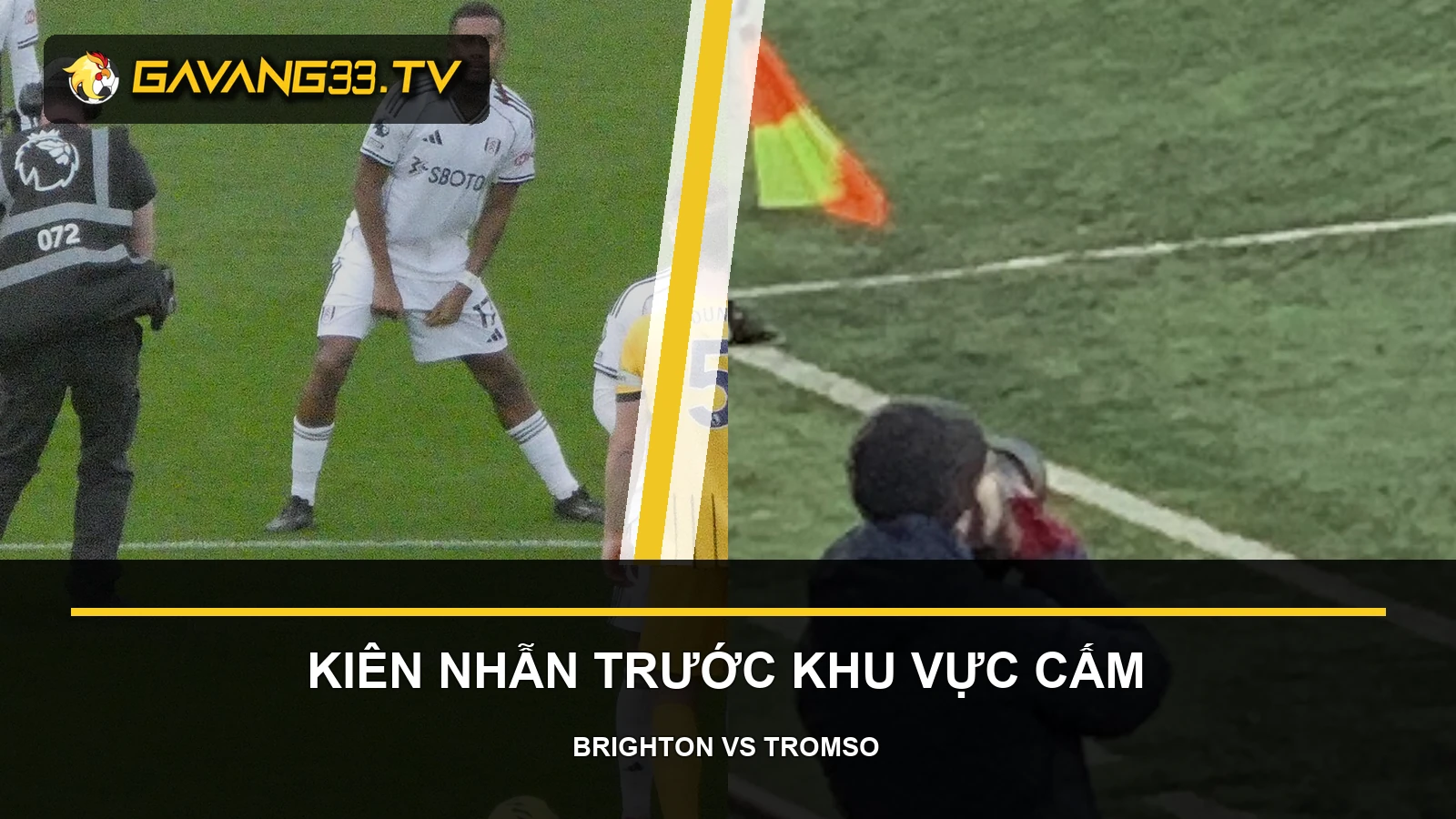 Tư liệu Brighton và Tromsø IL trước trận Conference League, có logo và tiêu đề bài nhận định