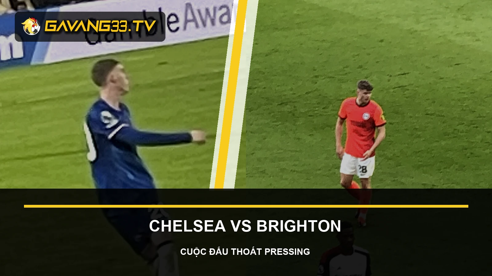 Ảnh tư liệu Chelsea và Brighton & Hove Albion trước trận Premier League