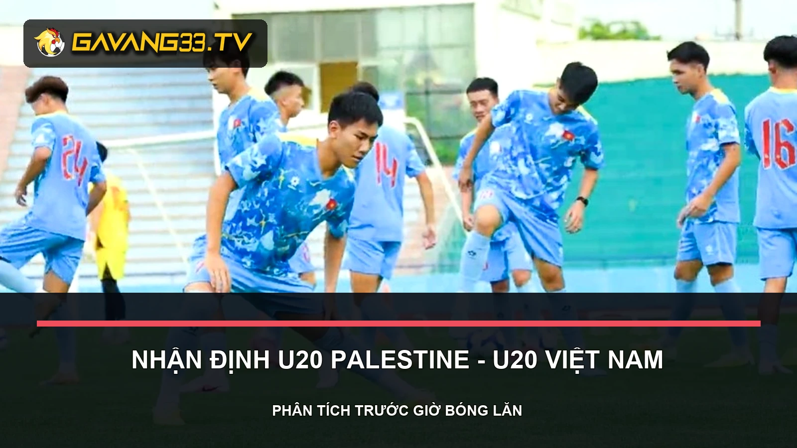 nhận định U20 Palestine vs U20 Việt Nam - ảnh tư liệu đội bóng
