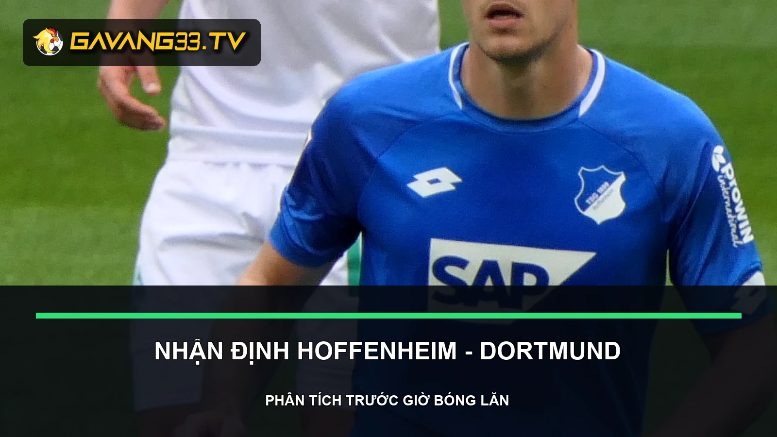 nhận định Hoffenheim vs Borussia Dortmund - ảnh tư liệu đội bóng