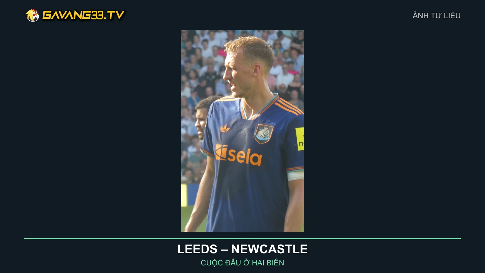 Ảnh tư liệu Bruno Guimarães và Dan Burn trong màu áo Newcastle