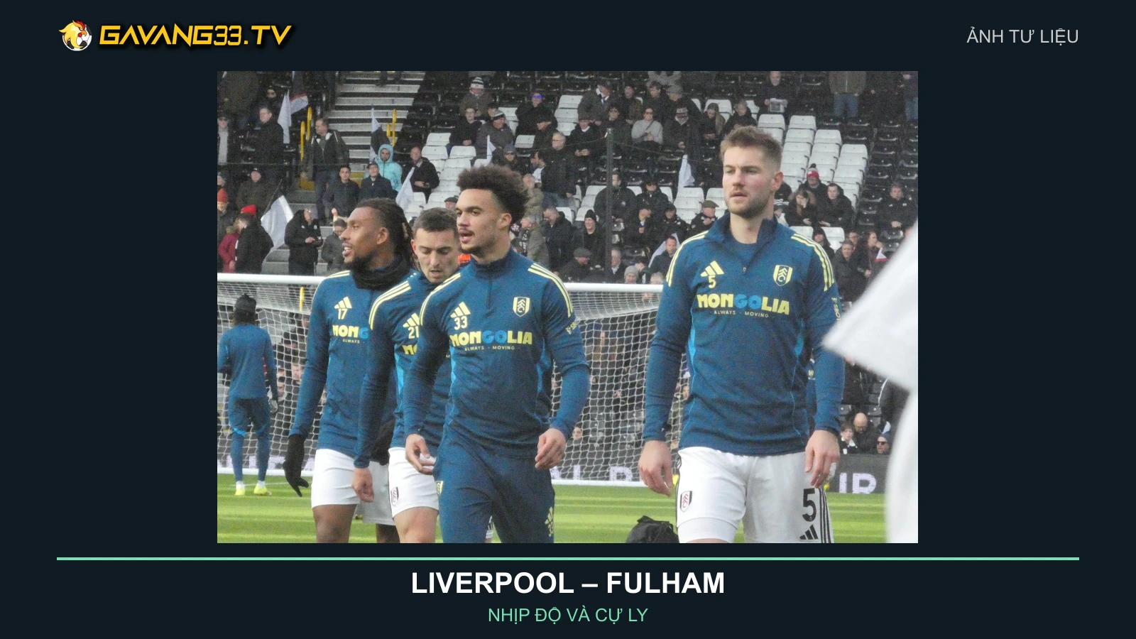 Ảnh tư liệu cầu thủ Fulham tập luyện năm 2026