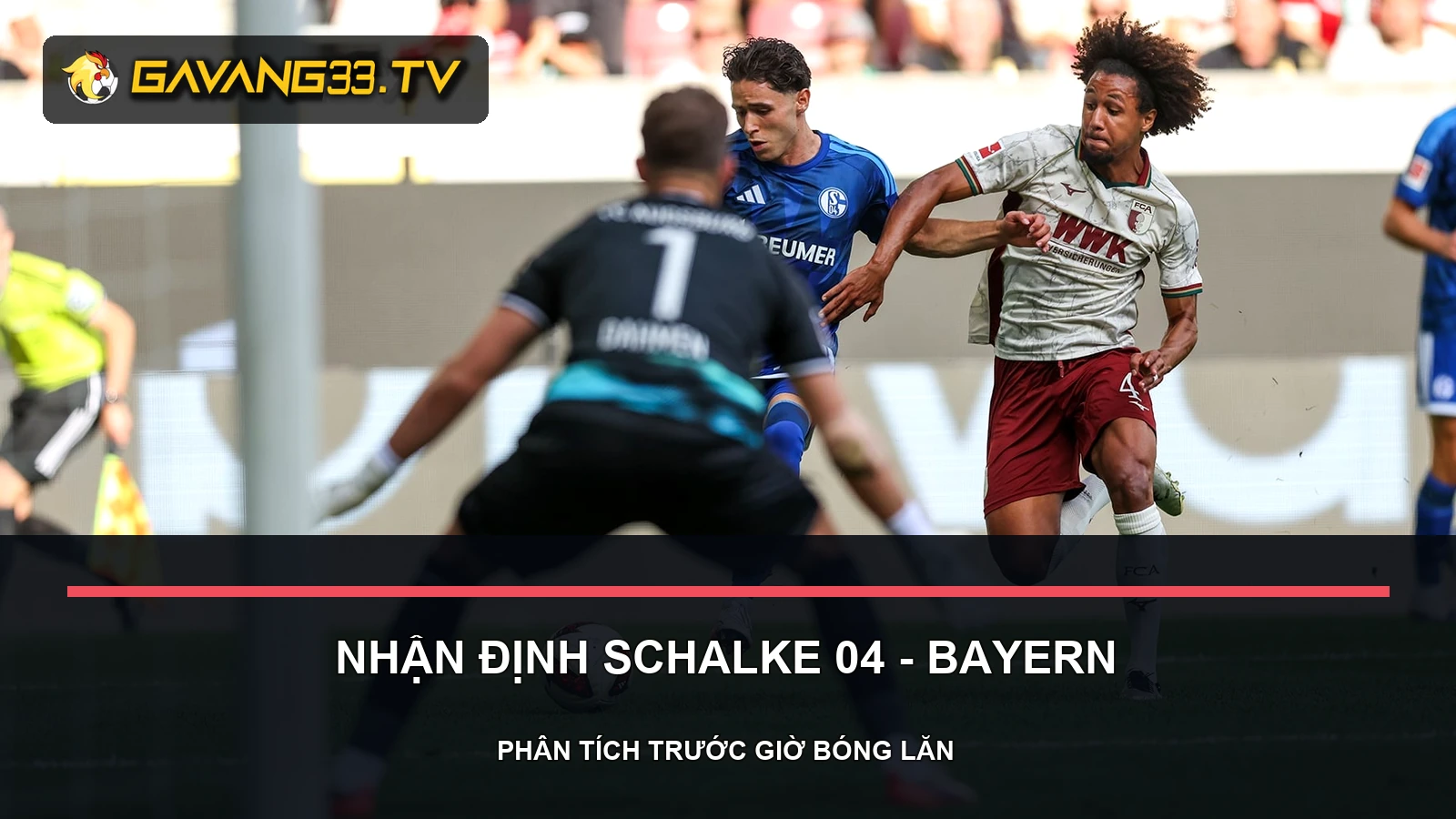 nhận định Schalke 04 vs Bayern Munich - ảnh tư liệu đội bóng